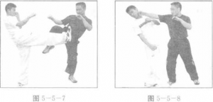 图片51