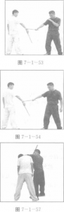 图片239