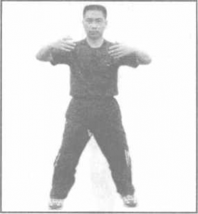 图片248