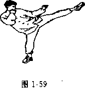 图片31