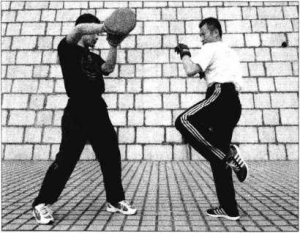 图片36