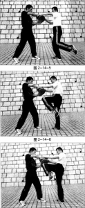 图片62