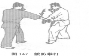 图片15