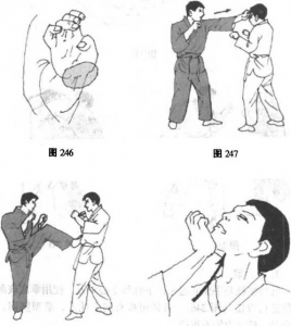 图片77