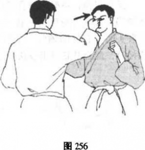 图片82