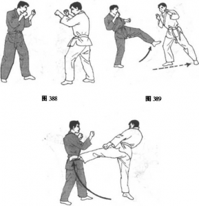 图片23