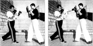 图片41