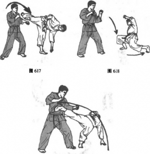 图片144