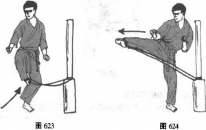 图片148