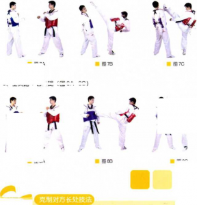 图片1 - 副本
