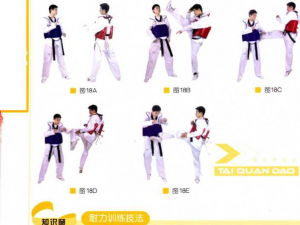 图片1 - 副本
