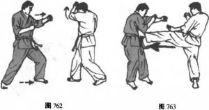 图片229