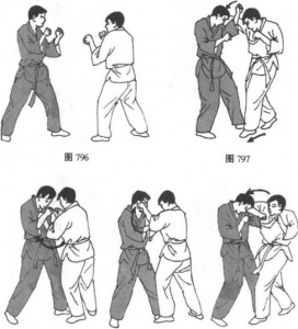 图片248