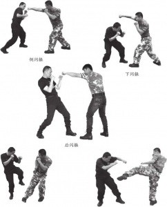 图片33