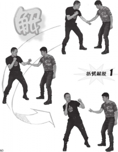 图片41