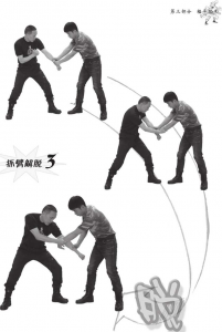 图片44