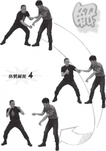 图片47