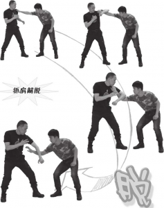 图片48