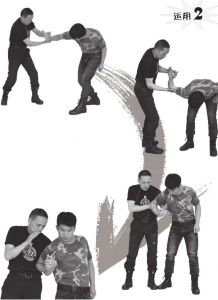 图片121