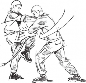 图片12