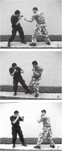 图片17
