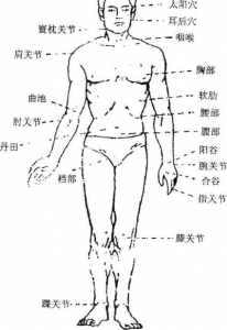 图片12