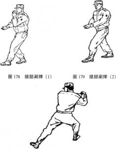 图片23