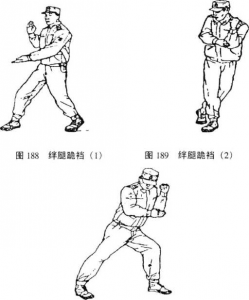 图片29