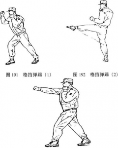 图片30