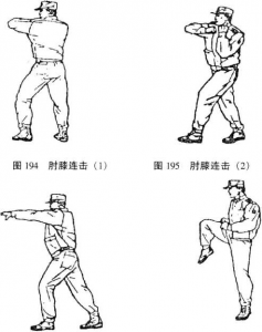 图片31