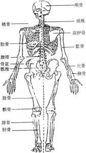图片10