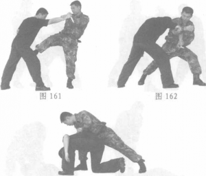 图片89