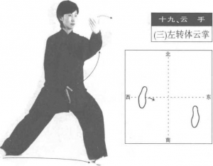 图片12