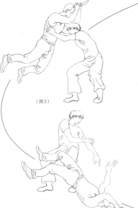 图片154