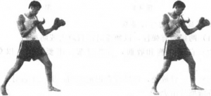 图片13