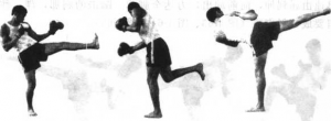 图片47