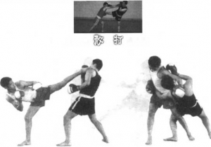 图片43