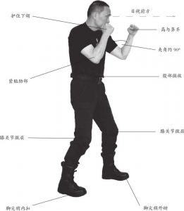 图片5