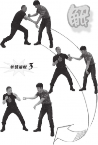图片20
