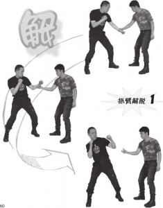 图片16