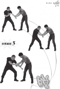 图片19