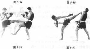 图片13