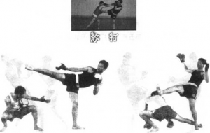 图片23