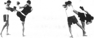 图片22