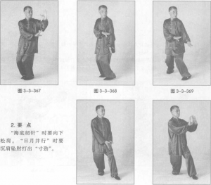 图片334