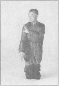 图片46