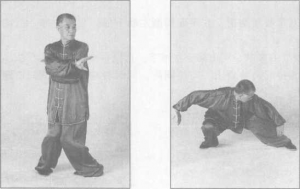 图片12