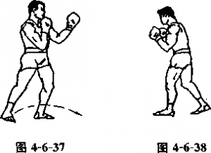 图片49
