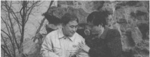 图片6