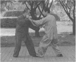 图片16